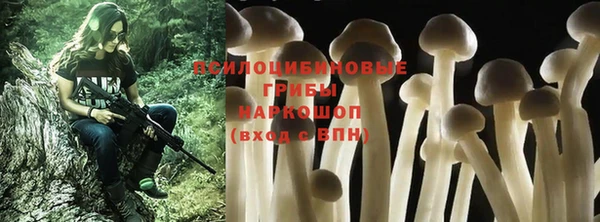 стафф Алексин
